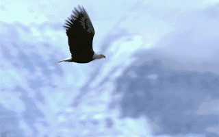 公司动态研究报告：全球合作战略不断深化医疗与半导体板块持续突破