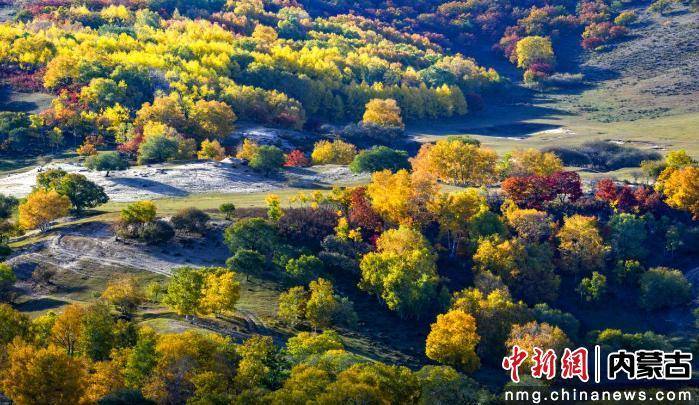 回望生态文明发展路 回答何以是锡林郭勒 ——锡林郭勒盟深入推